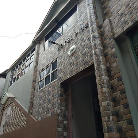 Hotel Pine Kohima Exteriér fotografie